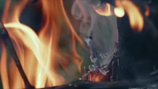 Fogueira Madeira Carvalho Abstrato Chamas Fumaça Cinzas — Vídeo de Stock
