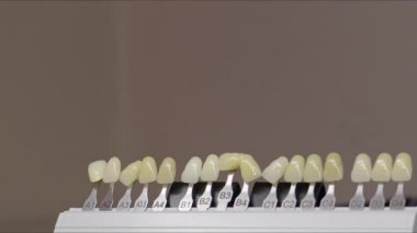 Diş Laboratuvarında Zirkonyum porseleni ve implant çalışmaları