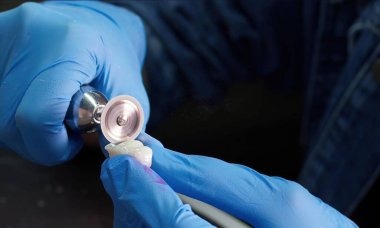 Diş Laboratuvarında Zirkonyum porseleni ve implant çalışmaları 