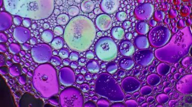 Soyut Renkli ve Parlak Yağlı Çemberler Arkaplanı 