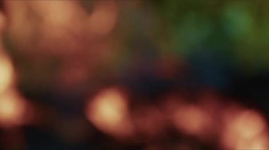 Bulanık odun, yanan cehennem ateşi.