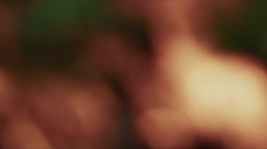 Bulanık odun, yanan cehennem ateşi.