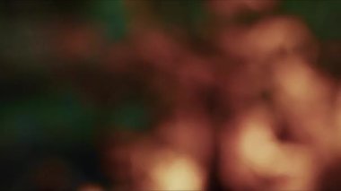 Bulanık odun, yanan cehennem ateşi.