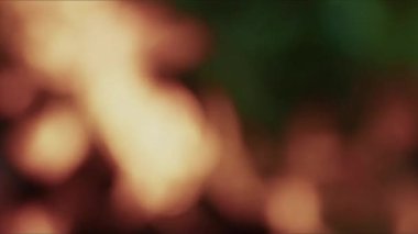 Bulanık odun, yanan cehennem ateşi.