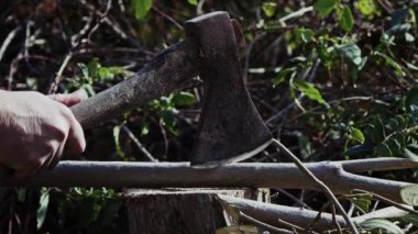 Doğada Balta ile Ağaç Dallarını Kesmek