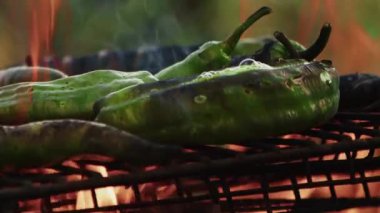 Sebze Yeşil Biber Barbekü Ateşinde