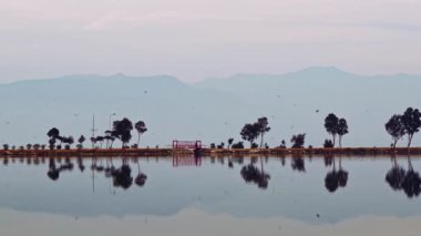 Ağaçlar ve Ağaç Doğadaki Deniz Su ve Köprüsü Yansıması