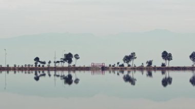 Ağaçlar ve Ağaç Doğadaki Deniz Su ve Köprüsü Yansıması