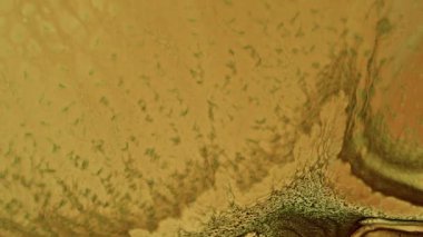 Soyut Renkli Mürekkep Boya Yayılımı