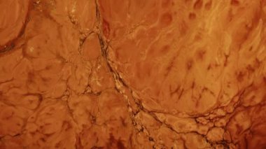 Soyut Renkli Mürekkep Boya Yayılımı