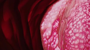 Soyut Renkli Mürekkep Boya Yayılımı