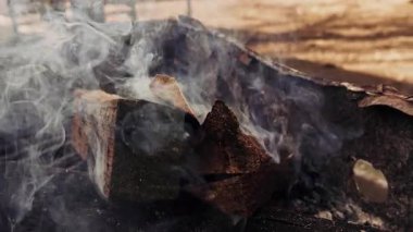 Çiftlik Bahçesinde Yanan Meşe Ormanı