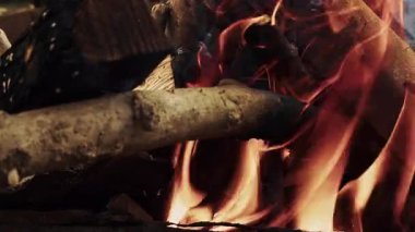 Çiftlik Bahçesinde Yanan Meşe Ormanı