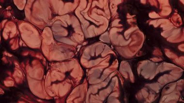 Soyut Grunge Sanat Mürekkebi Boya Patlaması Patlama Arkaplanı. Renkli Psikedelik Gıda Dönüşümü ve Sıvı Hareketi. Yumuşak Vibrant Kimyasal Reaksiyon. Sütlü Fantastik Patlamada Eşsiz Şekiller ve Gerçeküstü Şekiller