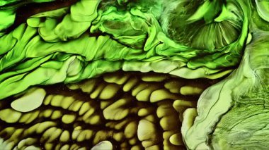 Soyut Mürekkep Boyası Yayılma Şekilleri 