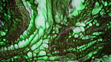 Soyut Mürekkep Boyası Yayılma Şekilleri 