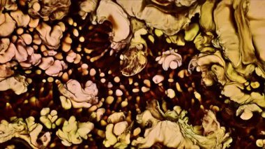 Soyut Mürekkep Boyası Yayılma Şekilleri