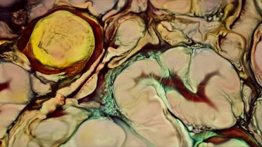 Soyut Mürekkep Boyası Yayılma Şekilleri