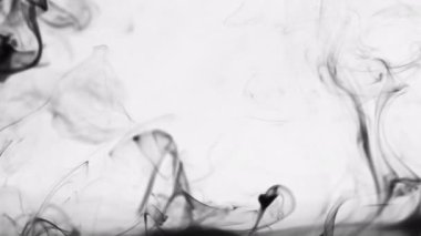 Abstract Black and White Smoke Spread Effect 