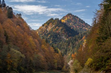 Pieniny - Polonya 'nın güneyinde ve Slovakya' nın kuzeyinde sıradağlar.