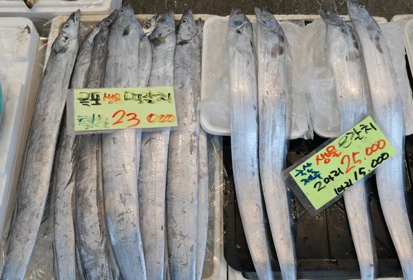 Long silver fish displayed for sale in South Korean market. High quality photo