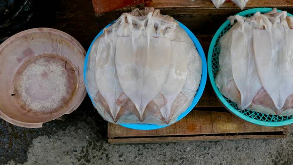 Chobotnice Nebo Olihně Vystavené Prodeji Plastových Miskách Trhu Jižní Koreji — Stock fotografie