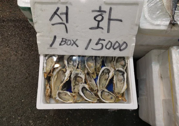 Fresh Oysters Display Sale Local Fish Market South Korea High — Stock Photo, Image