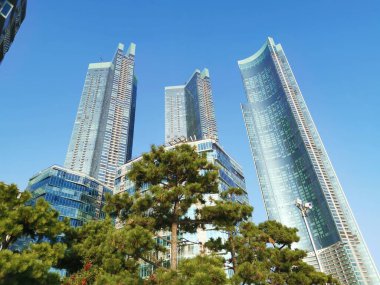 2 Kasım 2022 - Busan, Güney Kore: Haeundae 'de ağaçlı modern binaları gösteren şehir manzarası. Yüksek kalite fotoğraf