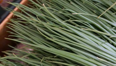 Güney Kore 'deki yerel markette taze taze taze fasulye yığını. Yüksek kalite fotoğraf