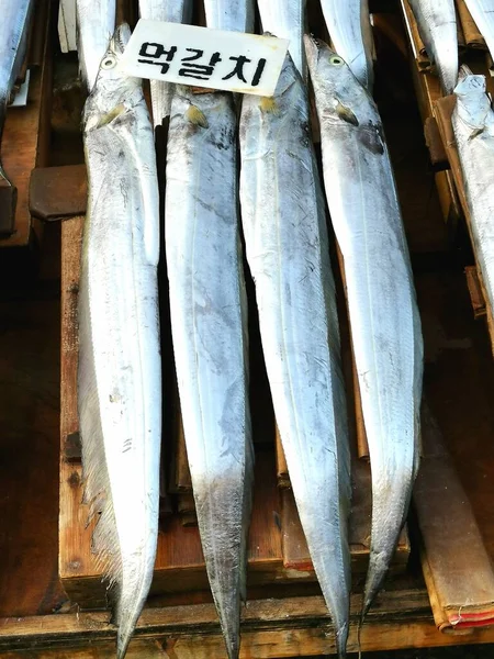 Long silver fish displayed for sale on wooden pallet in South Korean market. High quality photo