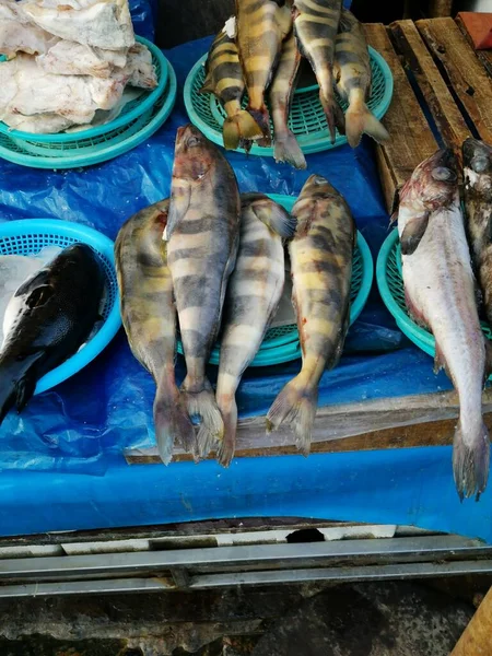 Peixe Fresco Variado Incluindo Peixe Listrado Exibido Para Venda Mercado — Fotografia de Stock