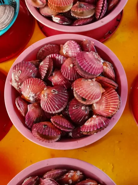 Conchiglie Rosa Vendita Secchio Plastica Nel Mercato Dei Frutti Mare — Foto Stock