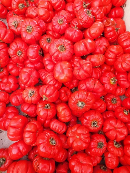 Pełny Obraz Ramki Dużą Ilością Bujnych Czerwonych Pomidorów Wołowych Wysokiej — Zdjęcie stockowe