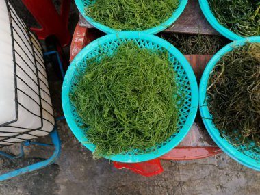 Tipik Güney Kore pazarındaki plastik kaselerde satılmak üzere çeşitli deniz yosunları. Yüksek kalite fotoğraf