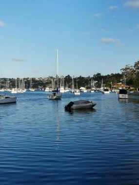 28 Kasım 2022 - Sydney, Avustralya: Tunks Park Koyu 'nun Portre Editörlüğü. Yüksek kalite fotoğraf