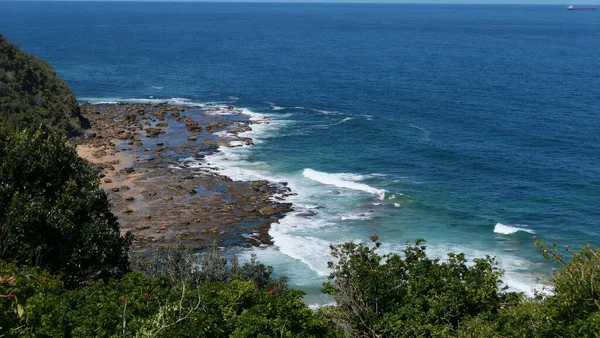 波の上から海の景色が目の前の木々と岩の海岸にクラッシュします 高品質の写真 — ストック写真