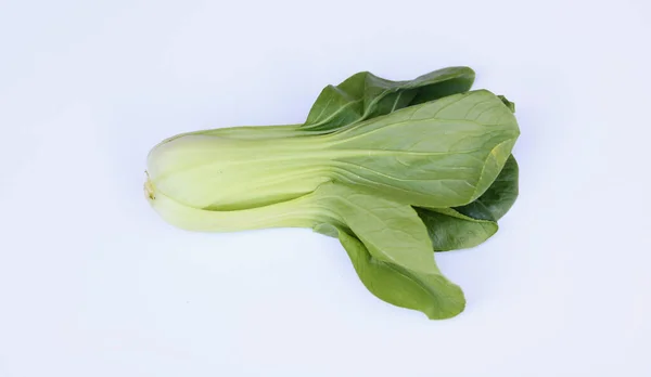 Pac Choi Chinese Leaves Isolated Plain White Background High Quality — Photo