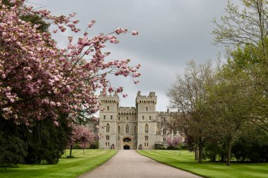 1 Mayıs 2023 - Windsor UK: Baharda Windsor Kalesi 'nin arka girişi, üzerinde kiraz çiçekleri ve gri gökyüzü. Yüksek kalite fotoğraf