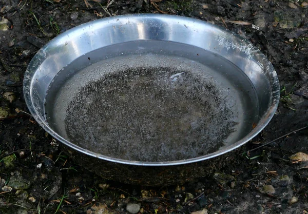 stock image Silver metal dogs dish filled with water standing on rough ground. High quality photo