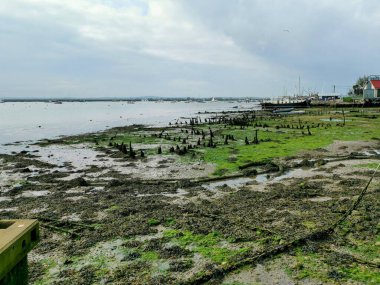 Gri bir günde algler ve fotokopi alanı olan İngiliz çamur düzlükleri. Yüksek kalite fotoğraf
