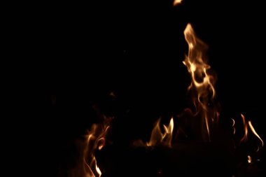 Fotokopi alanı olan siyah arkaplana karşı ince altın sarısı alevler. Yüksek kalite fotoğraf