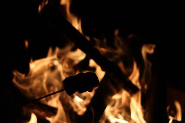 Close up image of burning embers in fire with charred pieces of wood. High quality photo clipart