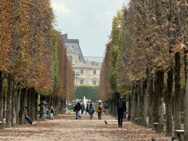 Sonbaharda Jardins des Tuileries yapraklarını gösteriyor. Yüksek kalite fotoğraf