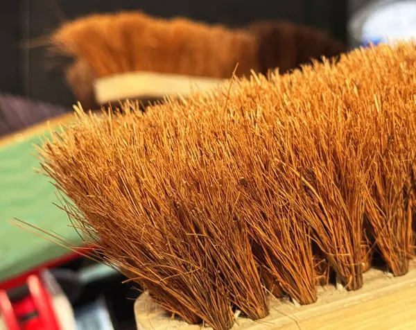 Kahverengi tüyleri olan tahta süpürge kafalı. Yüksek kalite fotoğraf.