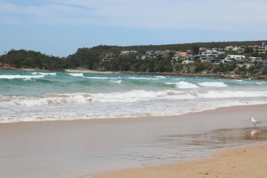 14 Kasım 2023 - Manly Beach, NSW, Avustralya: Sahilin dalgaları gösteren editoryal görüntüsü. Yüksek kalite fotoğraf