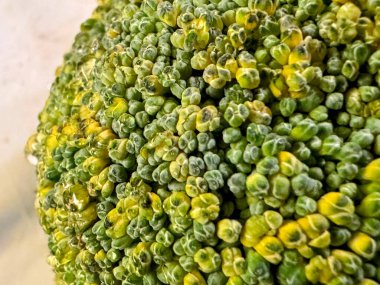 Sarı brokoli ya da brassica sebzesine yakın. Yüksek kalite fotoğraf