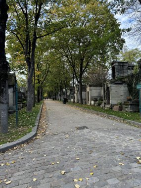 21 Ekim 2024 - Montmartre Mezarlığı, Paris, Fransa: Mezarlıkta sonbahar sahnesi. Yüksek kalite fotoğraf