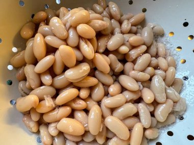 Kevgirde durulamak için Cannellini fasulyesi. Yüksek kalite fotoğraf