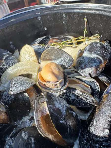 Soğanlı Moules mariniere ve kekik. Yüksek kalite fotoğraf