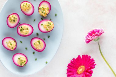 Top down view of bright pink devilled eggs on a light blue platter. A spring and Easter concept.